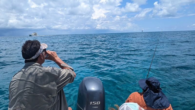 Florida Keys fishing Charters | 4 Hour Charter Trip 